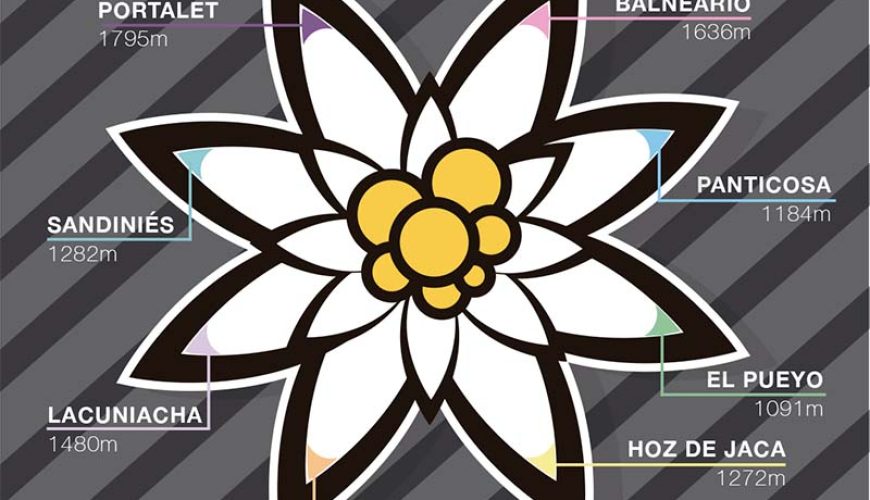 Ruta ciclo Flor Valle de Tena