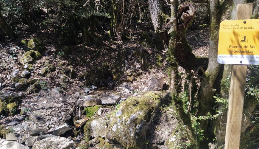 Ruta del Camino Viejo: Tramacastilla – Saqués