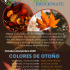 Visitas guiadas: Colores de otoño