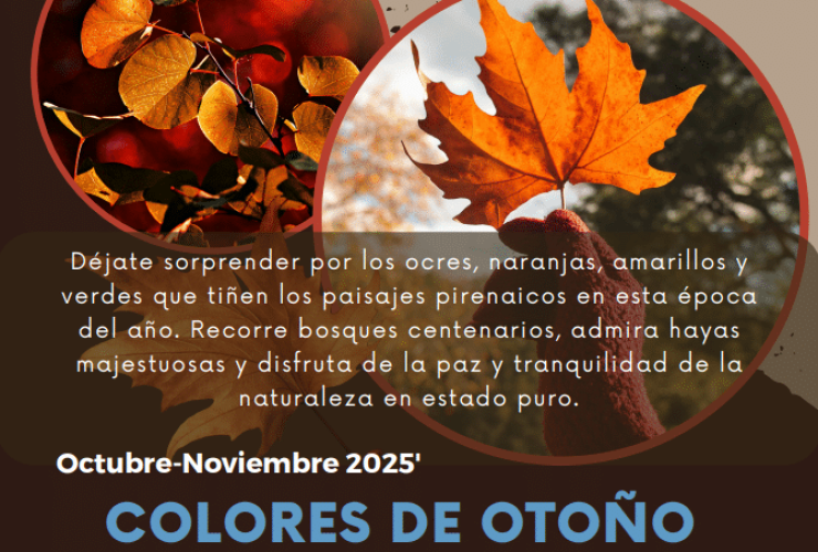 Visitas guiadas: Colores de otoño