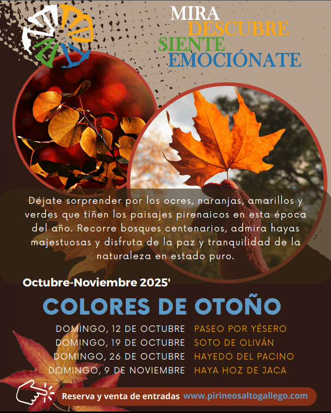 Visitas guiadas: Colores de otoño