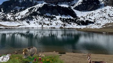 III Jornadas de Celebración del Día Internacional de las Reservas de la Biosfera