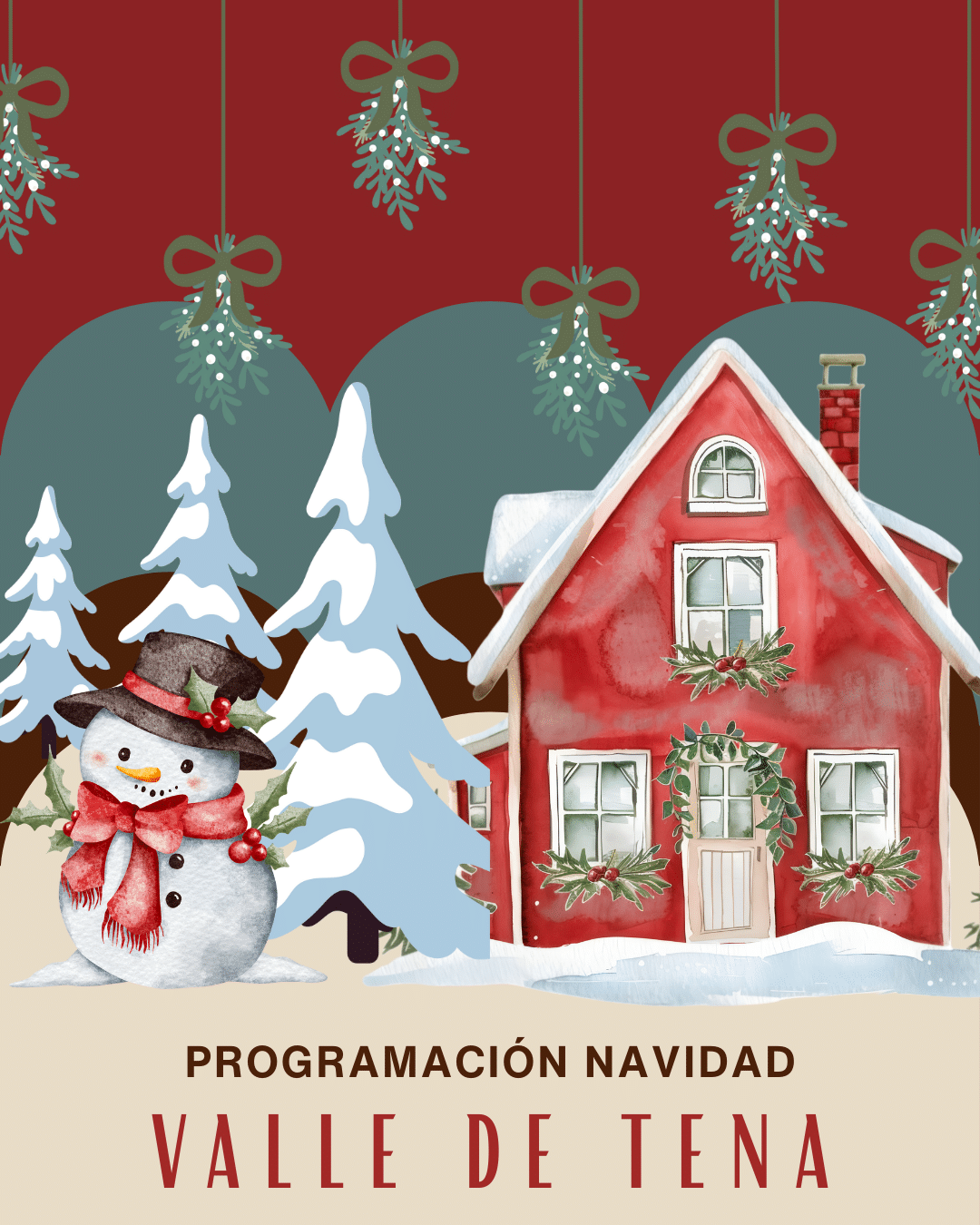 NAVIDAD 25-26 VALLE DE TENA